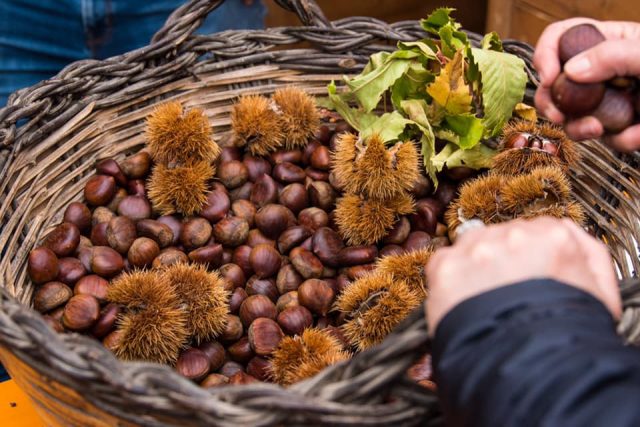 Ottobre/Novembre 2024 –  31esima Sagra della Castagna e del Pecorino Vitulanese – Vitulano (BN)